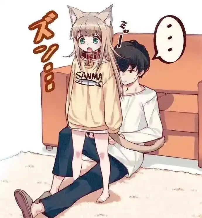 西檬之家brat属性是什么?探寻你的字母圈个性与特色 一