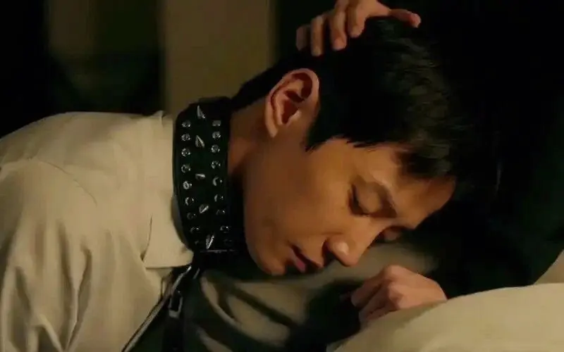 西檬之家K9犬系入门指南:如何探索你的犬类角色? 一