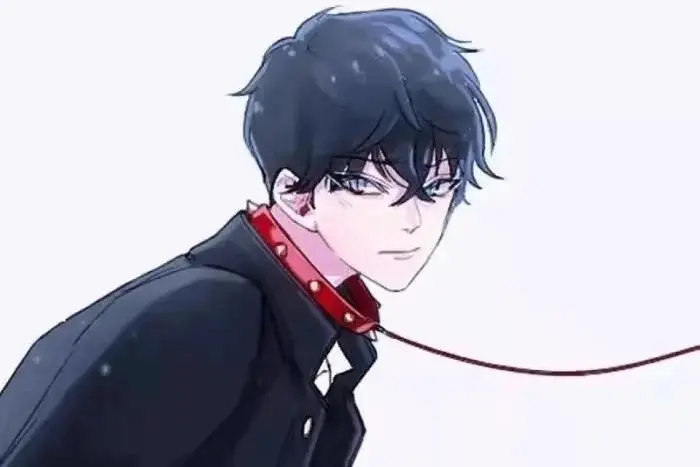 西檬之家s倾向是什么?探秘字母圈中的支配与臣服关系 一