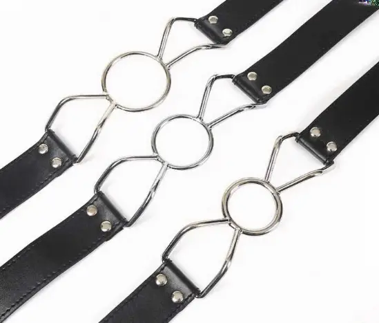 西檬之家k9犬系是什么?深入了解犬系文化与实践技巧 一