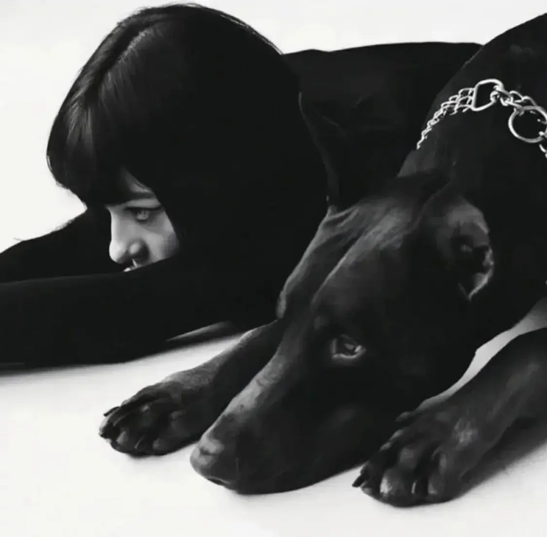 西檬之家switch属性是什么?字母圈新人必读指南 一