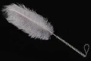 西檬之家sub是什么?字母圈小白必知的支配与臣服关系解读 一