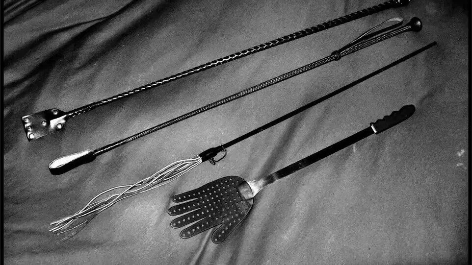 西檬之家TS文化在字母圈中的崛起与发展 一