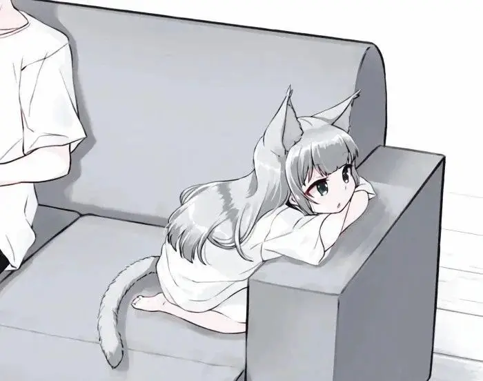 西檬之家CD文化入门指南:如何理解和体验这一独特亚文化? 一