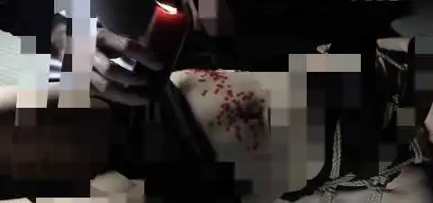 西檬之家管教是什么?在字母圈中如何理解与实践? 一