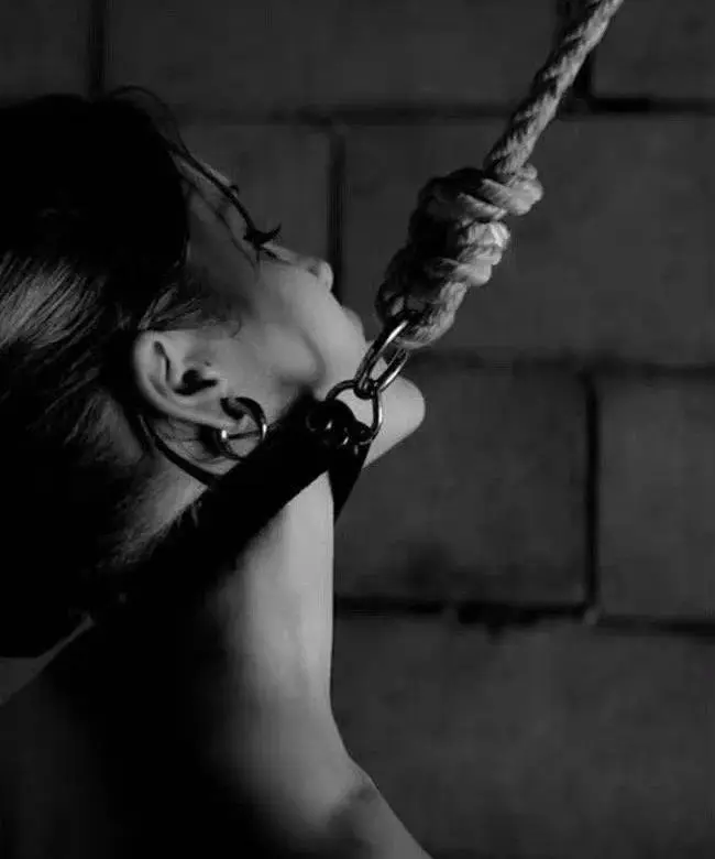 西檬之家2025年k9犬系文化的新趋势与挑战 一