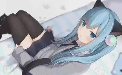 西檬之家字母圈的k8猫系是什么意思? 一