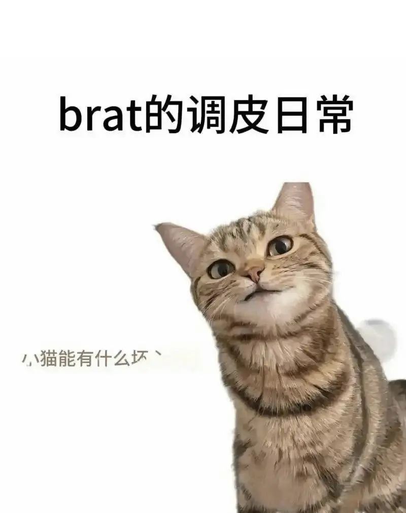 西檬之家小圈管教入门指南 一