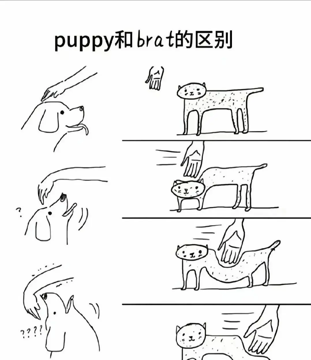 西檬之家Dirty Talk是什么?字母圈新人入圈指南 一