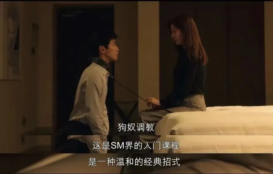 西檬之家字母圈TS是什么意思? 一