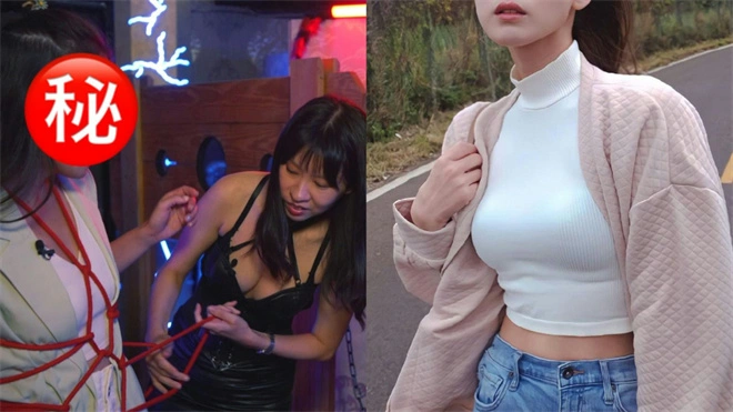 西檬之家字母圈K9犬系是什么意思? 一