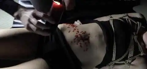 西檬之家字母圈s倾向是什么意思 一