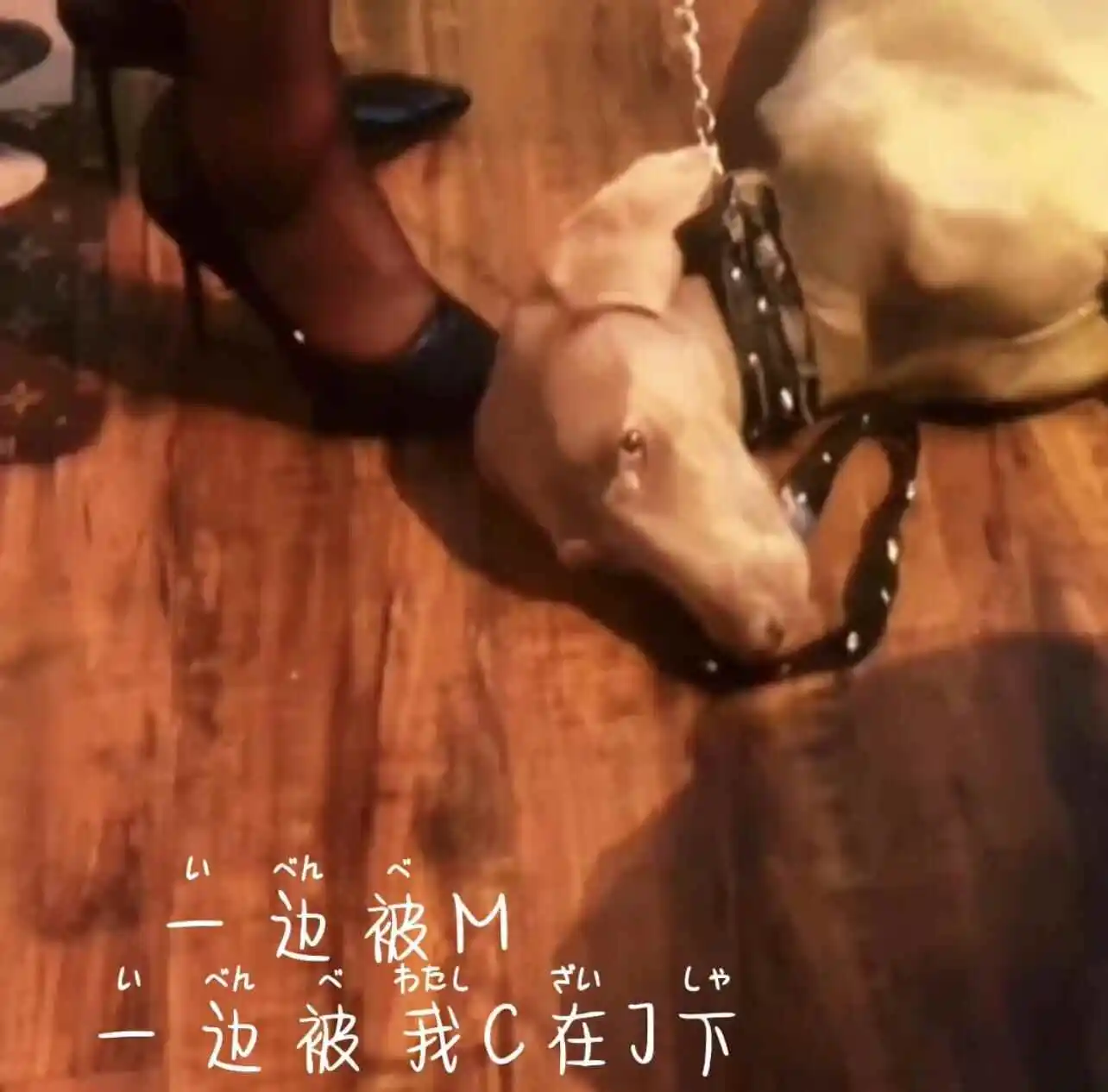 西檬之家字母圈恋物癖是什么? 一