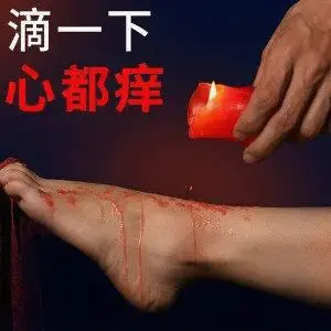 西檬之家字母圈的K9犬系是什么意思? 一