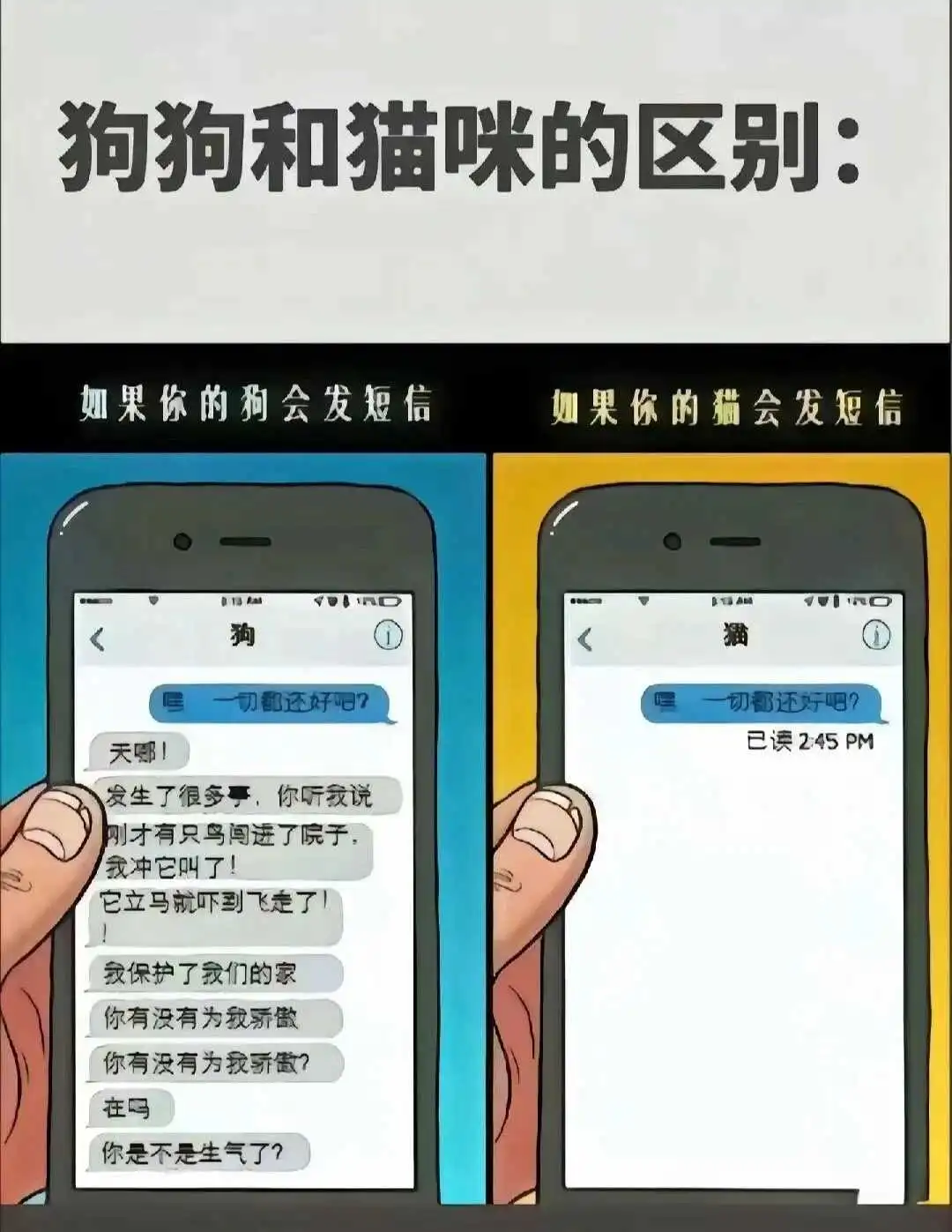 西檬之家字母圈新人入圈:sub是什么? 一