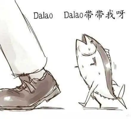 西檬之家s倾向是什么?你的字母圈属性是什么? 一