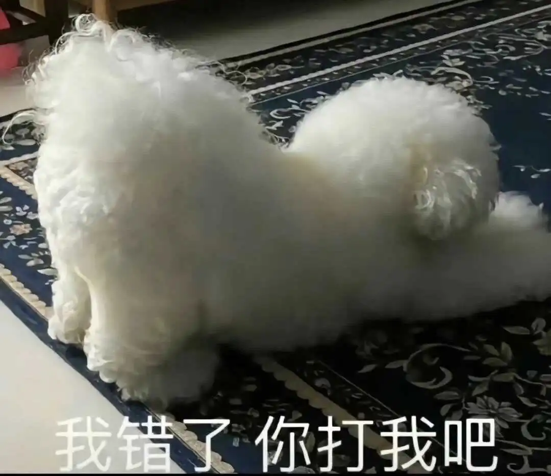 西檬之家字母圈管教是什么? 一
