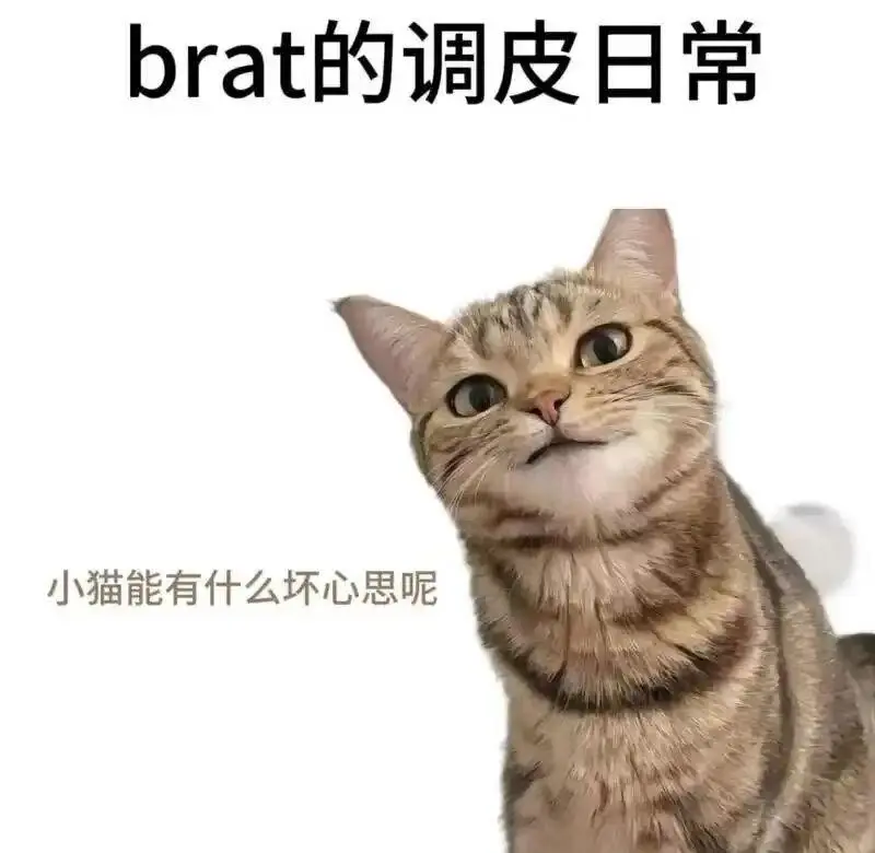 西檬之家K8是什么? 一